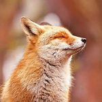 Profile Picture of marcus wing (@wing.marcus) on Instagram