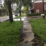 Profile Picture of Larry Byrd (@byrd_money187) on Instagram