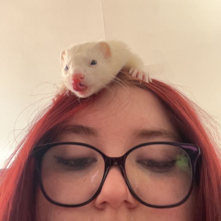 Profile Picture of kayla (@kaylacooter) on Tiktok