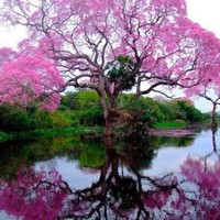 Profile Picture of Anil Mathew (@anil-mathew-32) on Quora
