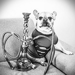 Profile Picture of Plaksin_slavik (@plaksin_slavik) on Flickr