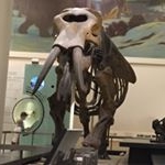 Profile Picture of Dominique Lemieux (@lemieuxdominique1) on Instagram