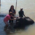 Profile Picture of Janet Calabro (@calabja) on Instagram