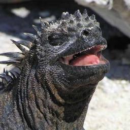 Profile Picture of James Bane (@bahloomoony) on Twitter