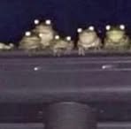 Profile Picture of Tyler Westerberg (@tyler.westerberg.7) on Facebook