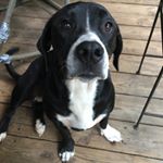 Profile Picture of Chloe Truesdell (@chloealexandria97) on Instagram