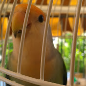 Profile Picture of Julia Castilla Díaz (@juliacastilladiaz6505) on Youtube