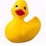 Profile Picture of Leonardo Becker (@416117339) on Myspace