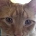 Profile Picture of Lori Lambert (@lori.lambert.129) on Facebook