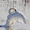 Profile Picture of Dan Bernskoetter (@Dan Bernskoetter Photography) on Flickr