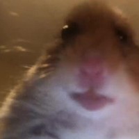 Joshua Celestine - Quora Profile Picture of Joshua Celestine (@joshua-celestine-4) on Quora