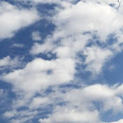 Profile Picture of Micaela Sefler (@MicaelaSefler) on Youtube