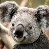 Profile Picture of matthew tar (@user1260191) on Tiktok