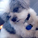 Profile Picture of Kyle Crowe (@kyle._.crowe) on Instagram