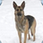 Profile Picture of Tina Holmes (@gypsywitch#1) on Flickr