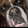 Profile Picture of Caleb Brewer (@calebbrewer20) on Tiktok