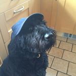 Profile Picture of Aaron Dennis (@sonny_d_92) on Instagram