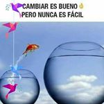 Profile Picture of Norma Arevalo (@norma.arevalo.733) on Instagram