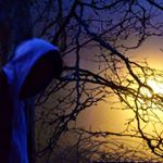 Profile Picture of Daniel Tripodi (@danieltripodi) on Instagram