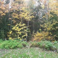 Profile Picture of Suzanne Paradis (@suzanne-paradis-3) on Quora