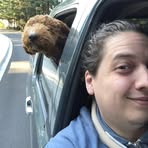 Jeffrey Sperry - Facebook Profile Picture of Jeffrey Sperry (@Jeffrey-Sperry) on Facebook