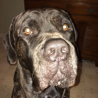 Profile Picture of Jill Becherucci (@jill-becherucci) on Quora