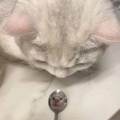 Profile Picture of JasonTorch (@jasontorch) on Tiktok