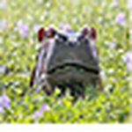 Profile Picture of Jeff Wojcik (@woj96) on Flickr