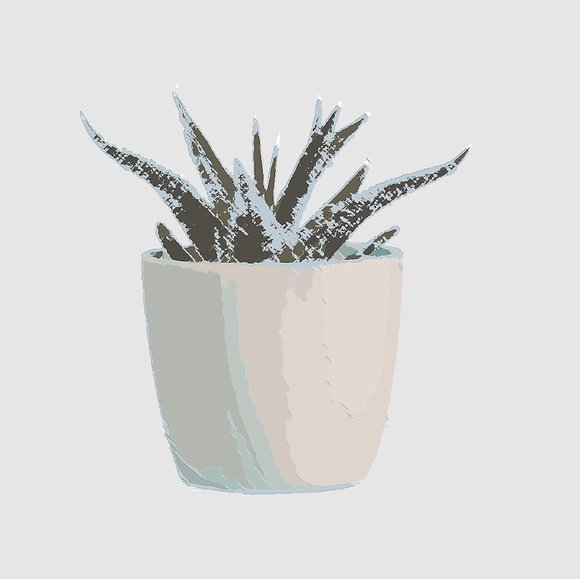 Profile Picture of Audrea Amstutz (@nestledlifestyl) on Poshmark