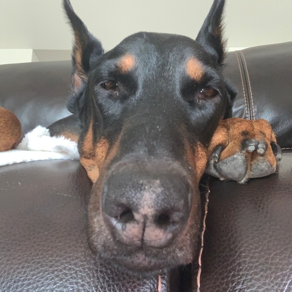 Profile Picture of Richard Howard (@arcsmart) on Poshmark