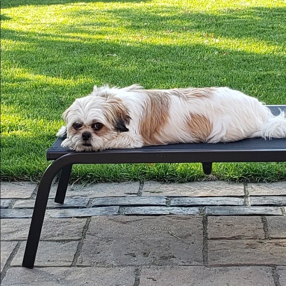 Profile Picture of Kim Tucci (@crazybaglady126) on Poshmark