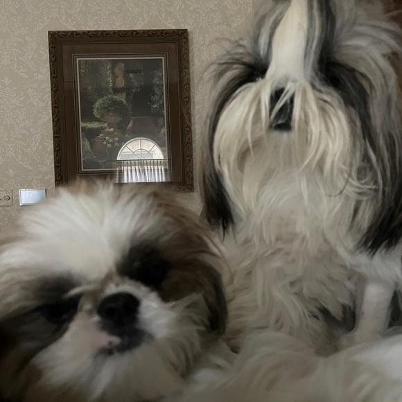 Profile Picture of Marla Simank (@marlasimanm) on Poshmark