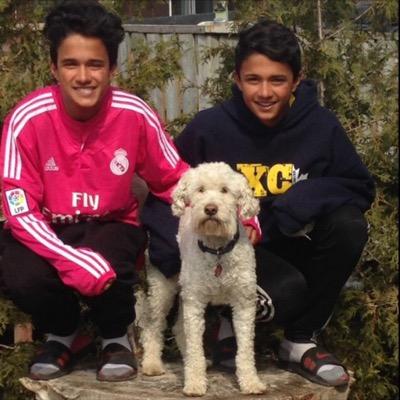 Profile Picture of Joshua Desouza (@_joshuadesouza) on Twitter
