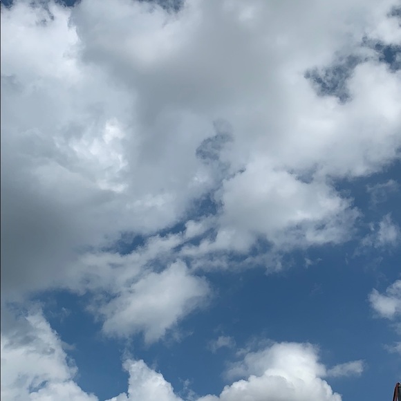 Profile Picture of Penny Neisen (@pkn3081) on Poshmark