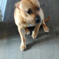 Profile Picture of John Mcguinness (@john-mcguinness-18) on Quora