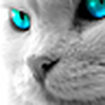 Profile Picture of Samudra Gupta (@samudraguptateacher) on Flickr