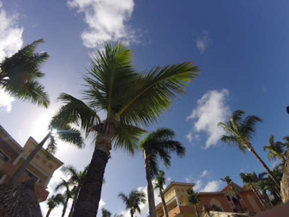 Profile Picture of Matthew Franco (@franco724) on Poshmark