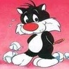 Profile Picture of Daniel Boban (@@danielboban) on Tiktok
