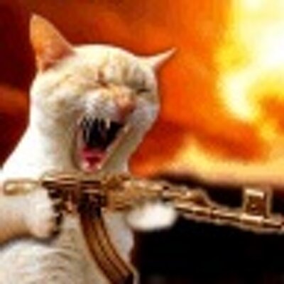 Profile Picture of Dan Frierson (@recshootr) on Twitter