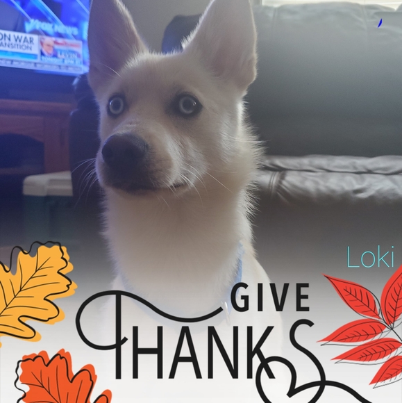 Profile Picture of Keri Sletten (@kerisletten) on Poshmark