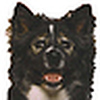 Profile Picture of duffymo (@duffymo) on Flickr