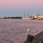 Petra Stråkendal - Instagram Profile Picture of Petra Stråkendal (@pettor_s) on Instagram