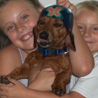 Profile Picture of Paul Owens (@paul.owens.9026) on Facebook