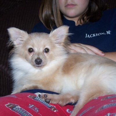 Profile Picture of Stephanie Scheffer (@slscheffer) on Twitter