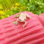 Profile Picture of Carlos fisher (@carlosfisher6) on Instagram