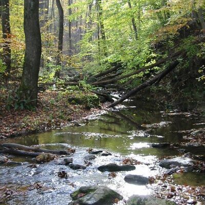 Profile Picture of Robert Amato (@RobertAmato) on Twitter