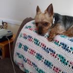 Profile Picture of Sue Sheets (@sue.sheets.12) on Instagram