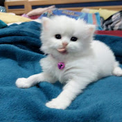 Profile Picture of Rose Pascua (@rosepascua1384) on Youtube