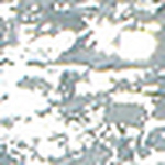 Profile Picture of tribalblue13 (@tribalblue13) on Flickr