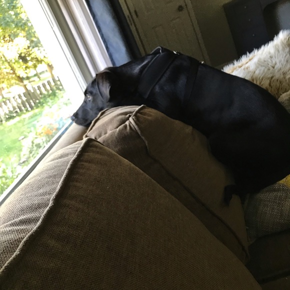 Profile Picture of Ella Bugdalski (@ellabugdalski) on Poshmark